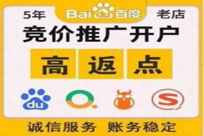 百度竞价代理技巧：经典成功案例解析